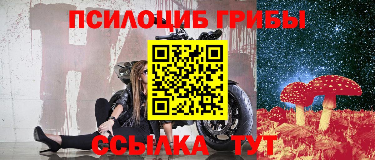 Советский  Псилоцибиновые грибы GOLDEN TEACHER  купить   Вход с VPN 